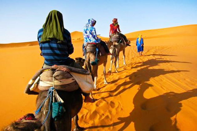 erg chebbi camel trekking