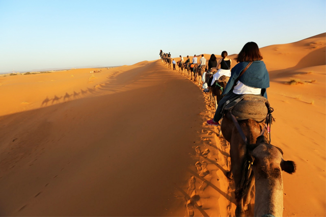merzouga desert camp
