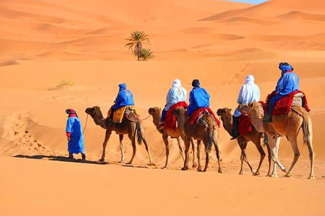 erg chebbi camel trekking