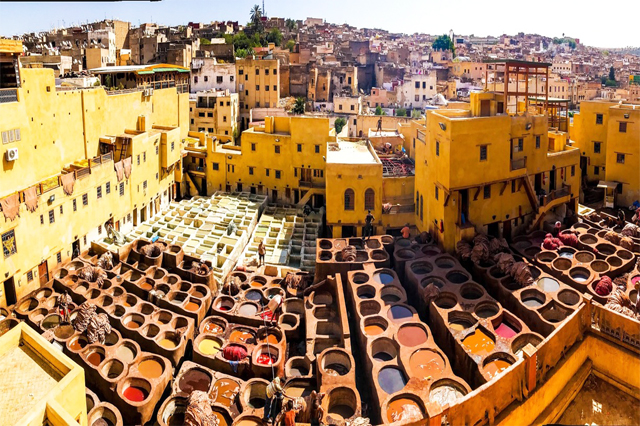 picture of fes city