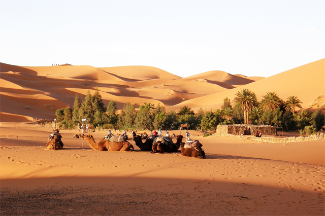 merzouga desert treks